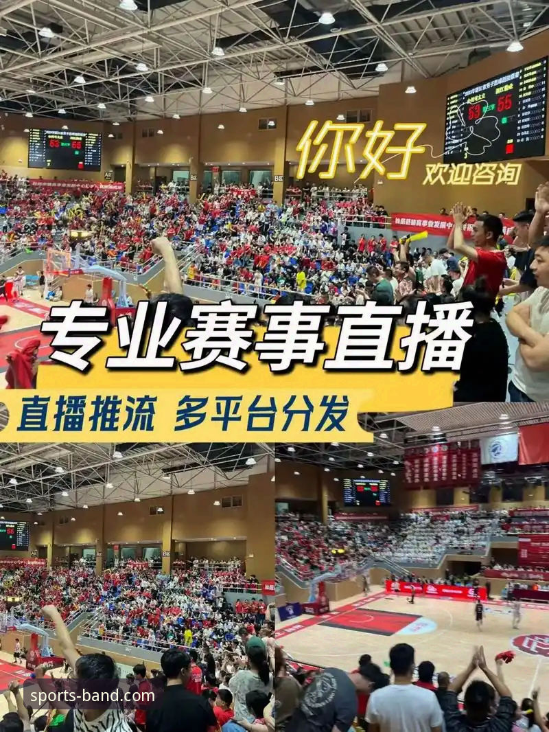 半岛体育赛事直播平台正规吗 揭秘半岛体育赛事直播平台正规吗?新手必看的使用指南与真相